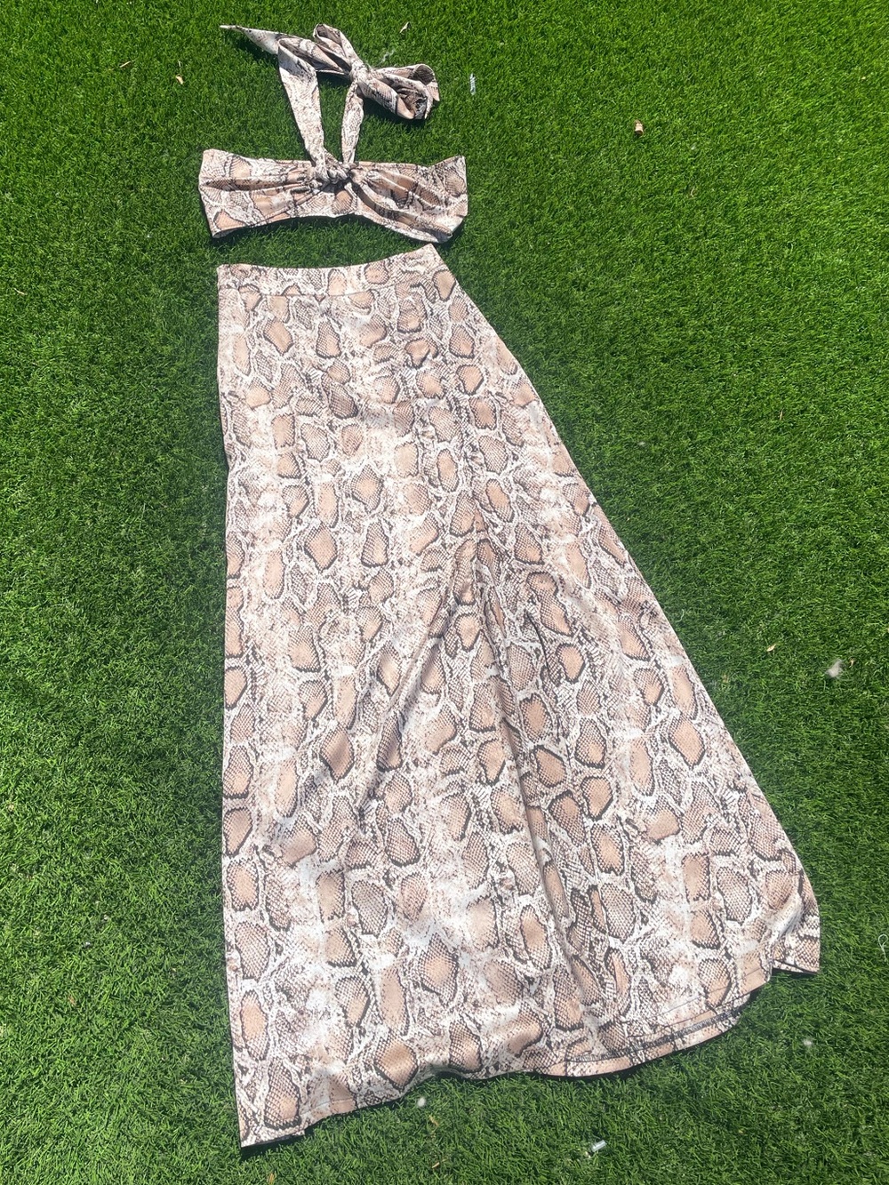 Nasty Gal Beige Snake-Print Maxi Skirt & Tie Top Set